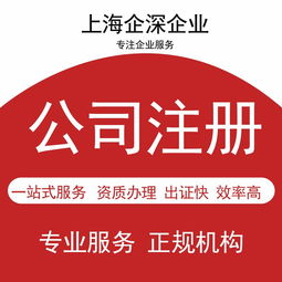 青浦区代理记账服务 选择专业财务公司助您高效经营